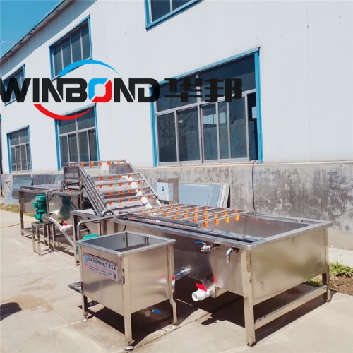 果蔬清洗機 氣泡清洗機 凈菜加工設備