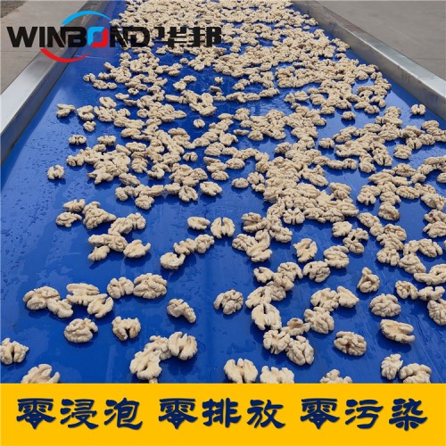 小型核桃仁去皮機 華邦核桃仁去皮設備廠家 破損率低