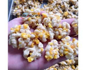 芒果核桃仁加工設(shè)備 華邦核桃仁去皮機(jī) 多口味