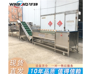 連續式土豆去皮機 不銹鋼土豆清洗機 現貨銷售