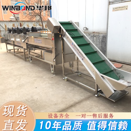 湖南紫薯清洗機 華邦洗薯機 可定制