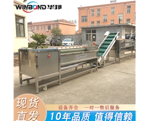 2020洗紅薯機 全自動紅薯清洗生產線