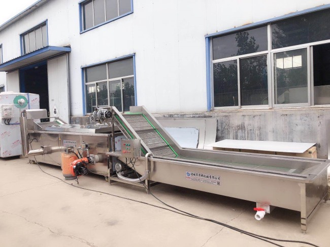 紅薯片清洗機 華邦支持定制 紅薯片清洗風干生產線