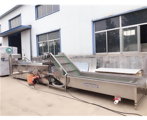 紅薯片清洗機 華邦支持定制 紅薯片清洗風干生產線