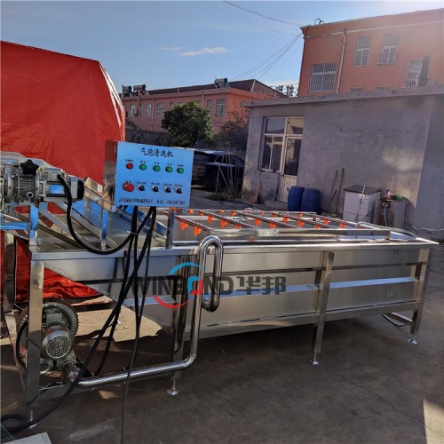 杏鮑菇清洗機 全自動菌類清洗生產線