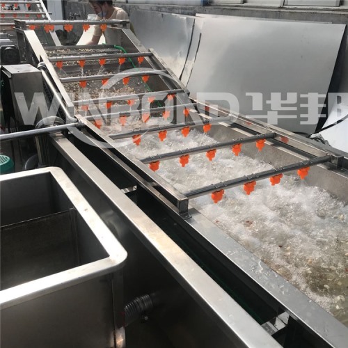 菌菇去雜清洗機 循環過濾 金針菇清洗設備