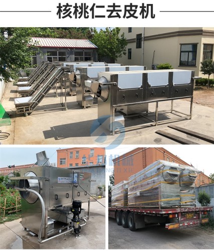 常規款核桃仁脫皮機 三種規格可選 物理核桃仁去皮機