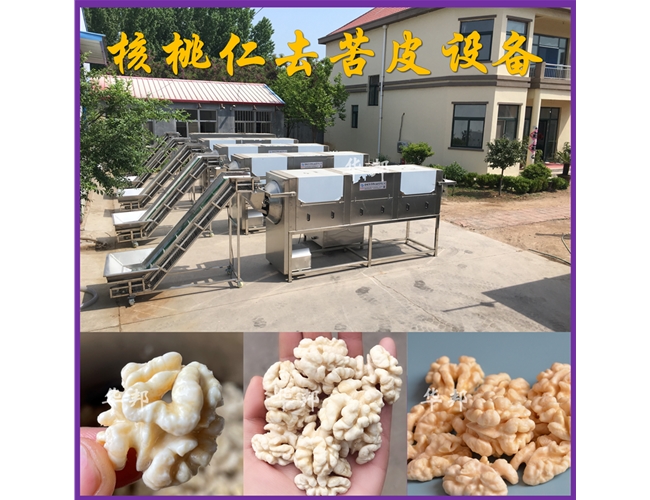 純物理核桃仁去皮機 去皮核桃仁加工流水線 華邦定制