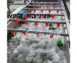 辣椒清洗機 小米辣椒清洗設備 氣泡式辣椒清洗機廠家