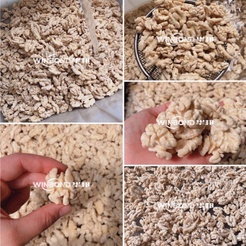 可試機核桃仁脫衣機 定制核桃仁脫衣設備 大小規格