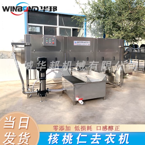 自動式 核桃仁脫衣機 連續生產 新疆核桃仁脫衣設備