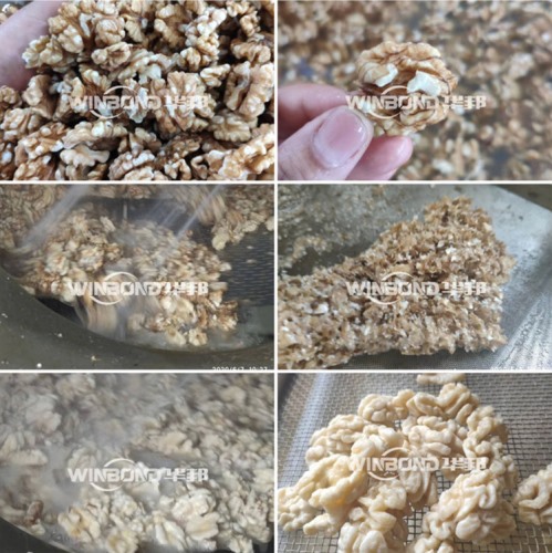 自動導料核桃仁脫衣機 核桃仁深加工設備 可試機